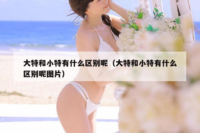 大特和小特有什么区别呢（大特和小特有什么区别呢图片）